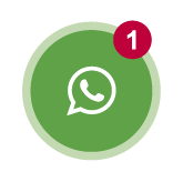 imagem whatsapp